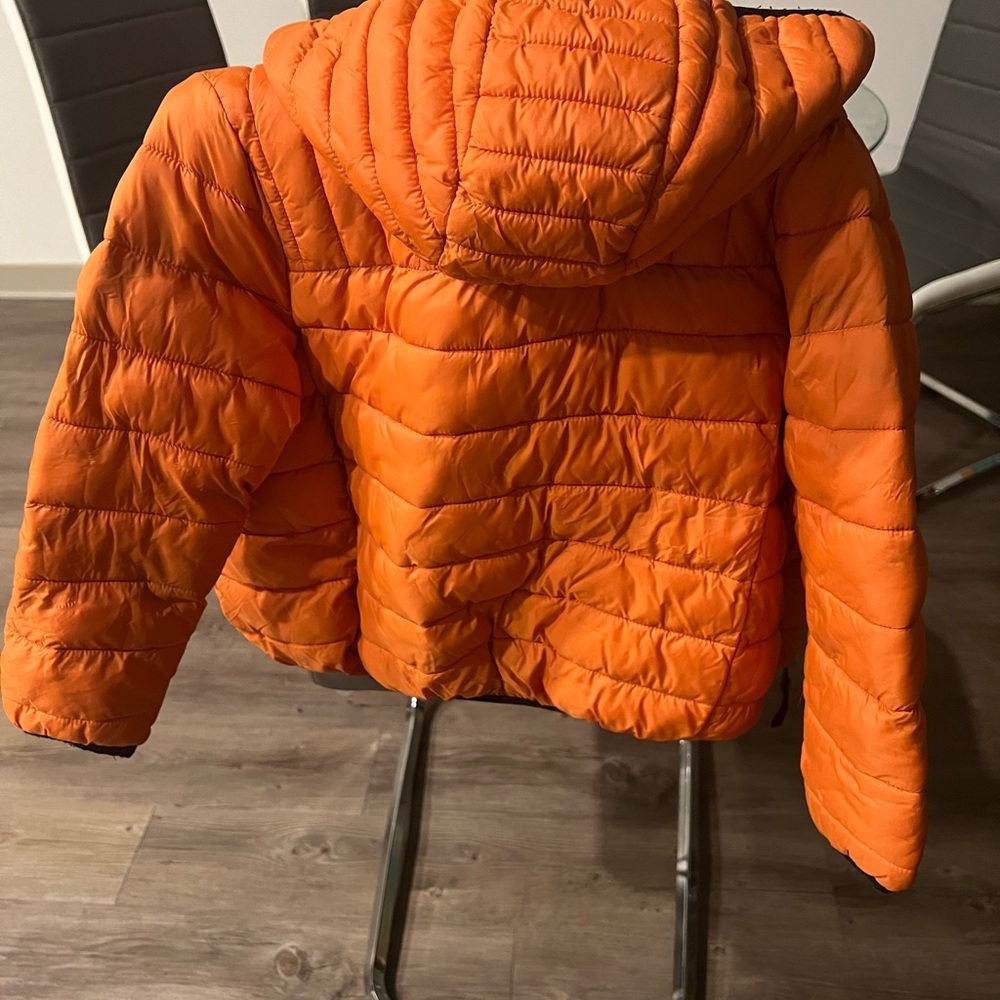 Orange puffer